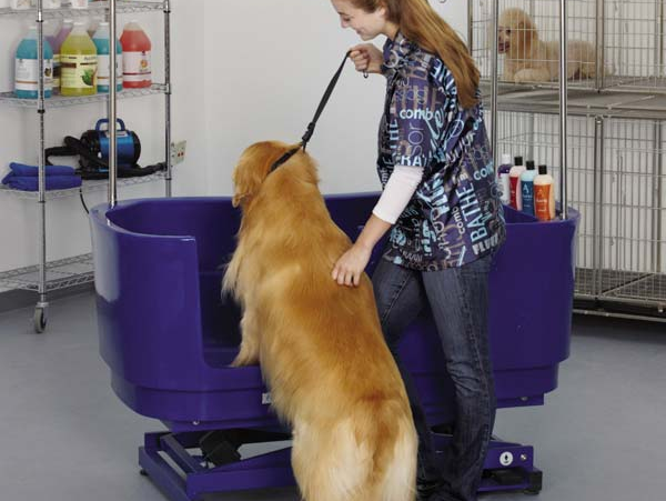 dog box grooming